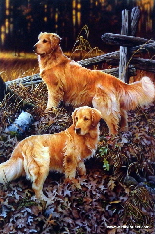 Jerry Gadamus Golden Heritage