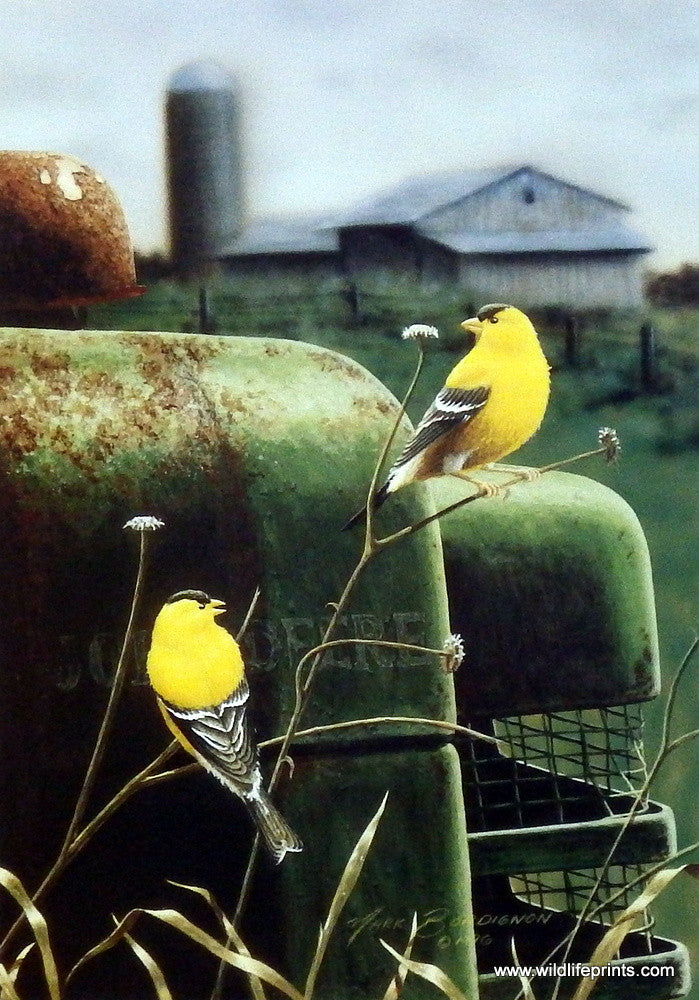 Mark Bordignon Golden Memories