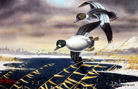 Les Kouba Goldeneye Invasion