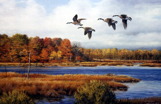 Scott Zoellick Goose Haven