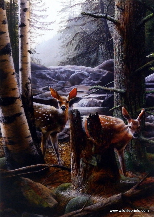 Kevin Daniel Gooseberry Fawns