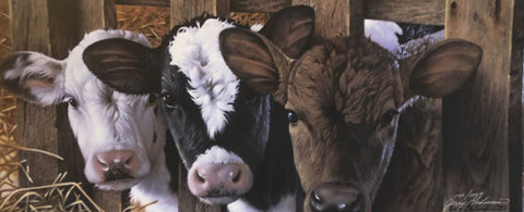 Jerry Gadamus Dairy Cow Farm S/N Art Print  24 x 10