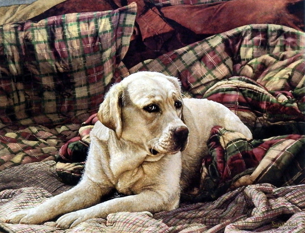 Sueellen Ross Gracious Living