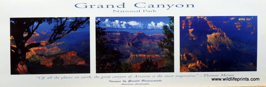 Gerald Brimacombe Grand Canyon