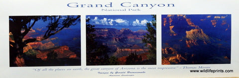 Gerald Brimacombe Grand Canyon