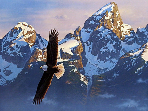 Daniel Smith Grand Teton