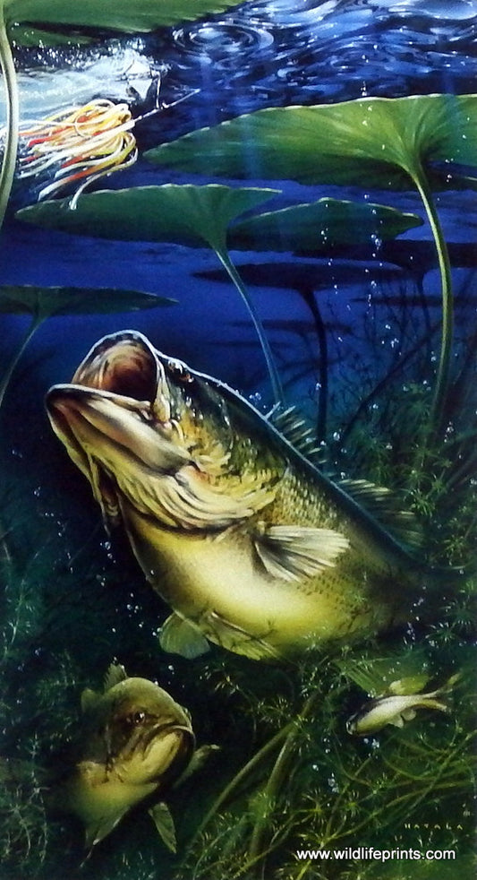 Dan Hatala Fishing Print GREAT LAKES LARGEMOUTH BASS