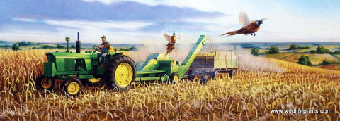 Charles Freitag Picture John Deere Tractor Corn Harvest