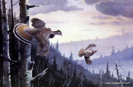Les Kouba Grouse Country