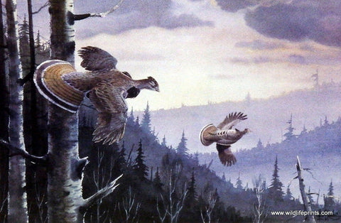 Les Kouba Grouse Country