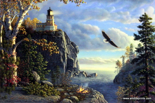 Kim Norlien Guiding Light
