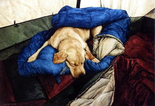 Sueellen Ross Happy Camper