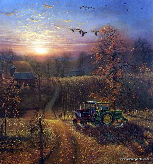 Dave Barnhouse Harvest Break