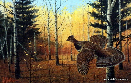 Les Kouba Heartland Grouse