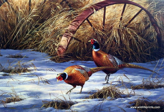 Rosemary Millette Heartland Heritage- Pheasants