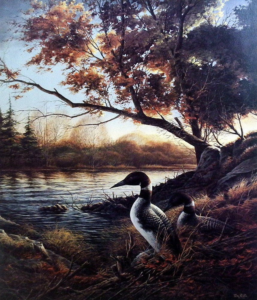 Terry Redlin Loon Print HIDDEN POINT