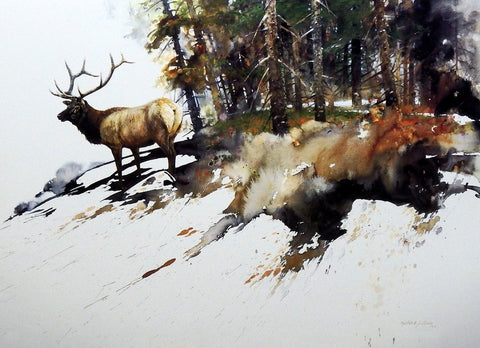 Morten E. Solberg High Elk Country