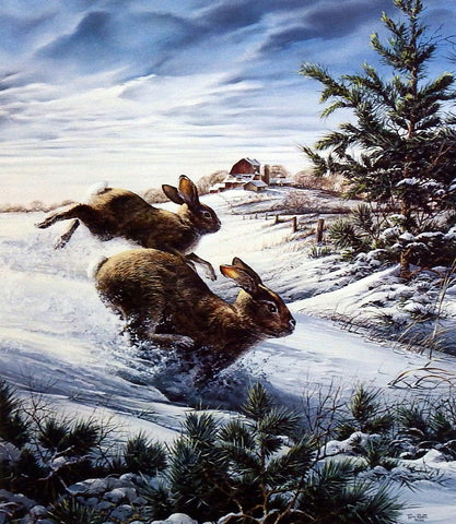 Terry Redlin Cottontail Rabbit Print HIGHTAILING
