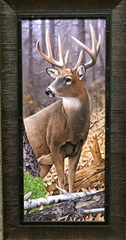 Jerry Gadamus My Best Side Deer Buck Art Print-Framed