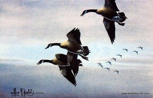 Les Kouba Honkers On Their Way