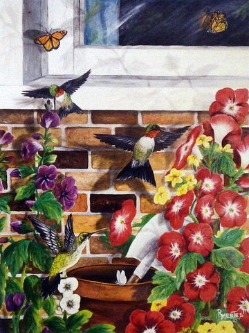 Ray Mertes Hummingbird Heaven