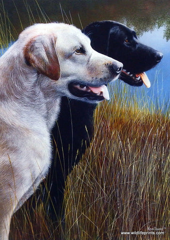 Kevin Daniel Hunting Companions