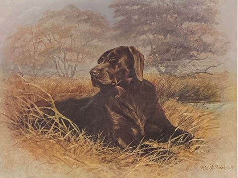 R.. J. McDonald Good Boy S/N Chocolate Lab Art Print 20 x 15