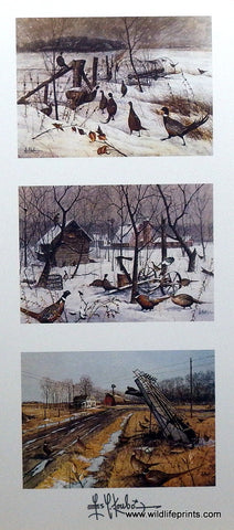 Les Kouba In Shelter Trilogy