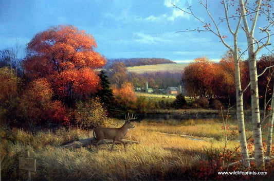 George Kovach In the Clear