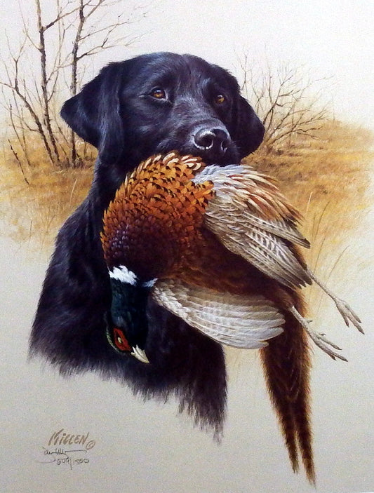 James Killen In The Field- Black Lab & Pheasant