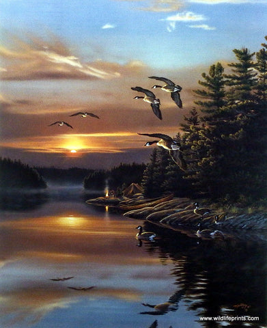 Rick Kelley Into the Sun