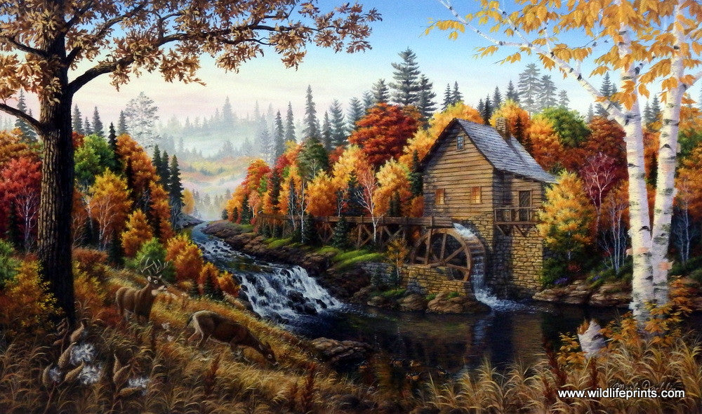 Mark Daehlin Johnson's Mill