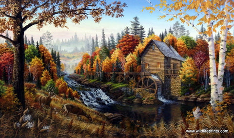 Mark Daehlin Johnson's Mill