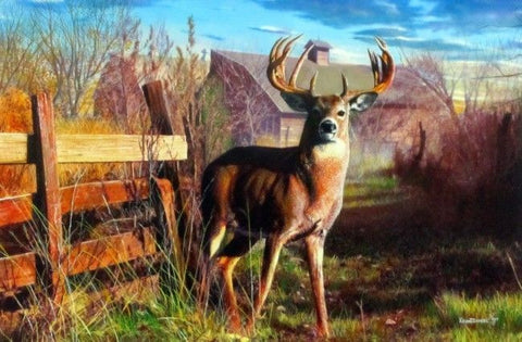 Kevin Daniel Back Forty Buck