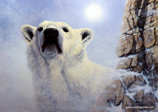 Derk Hansen Keeper Of The North