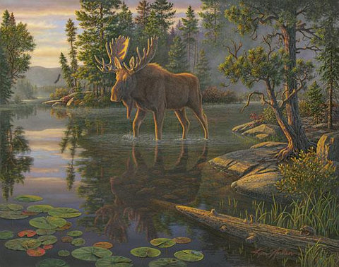 Kim Norlien King of the North Moose Art Print 22 x 18