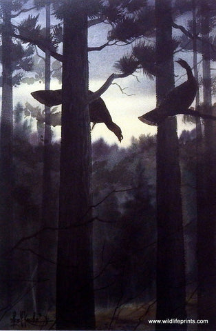 Les Kouba Kouba's Roost