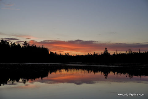 Judy Syring Serene Sunset