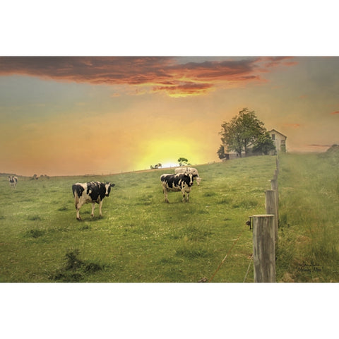 Lori Deiter Morning Moos Country Cow Art Print 18 x 12 Free Shipping