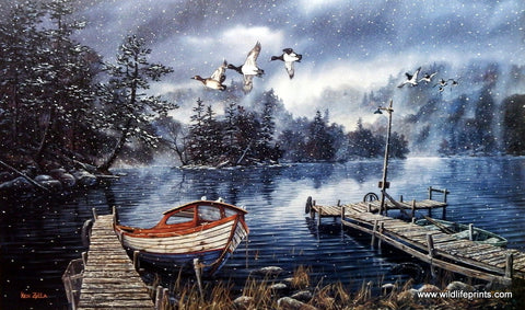 Ken Zylla Lake Of The Woods