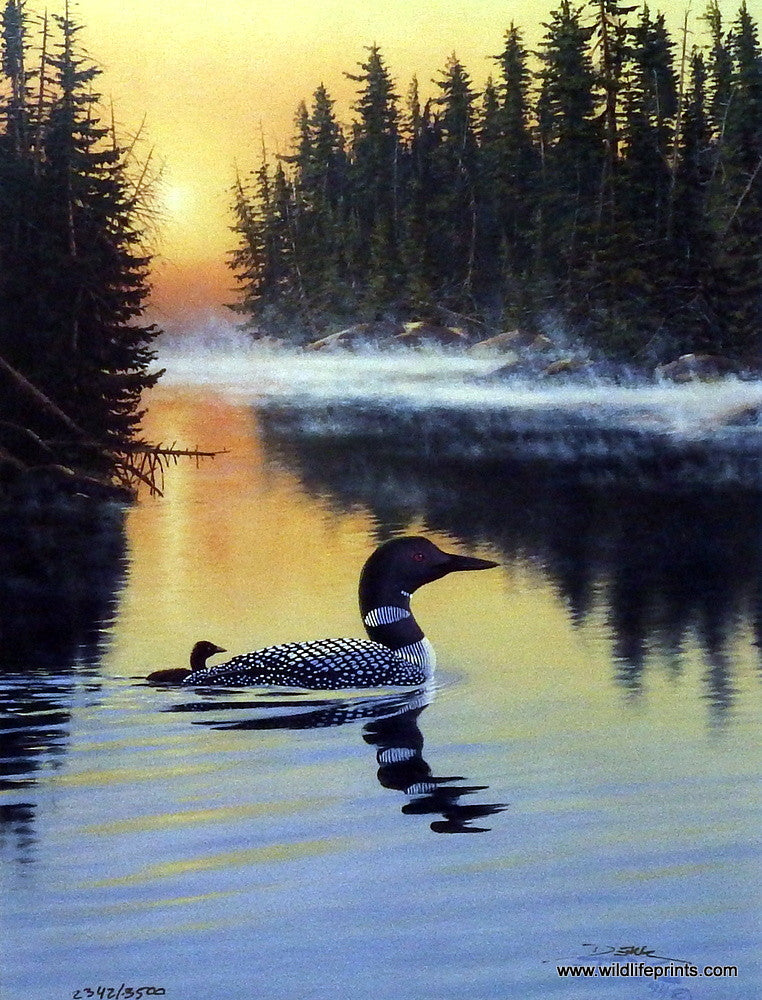 Derk Hansen Land Of The Free Loon