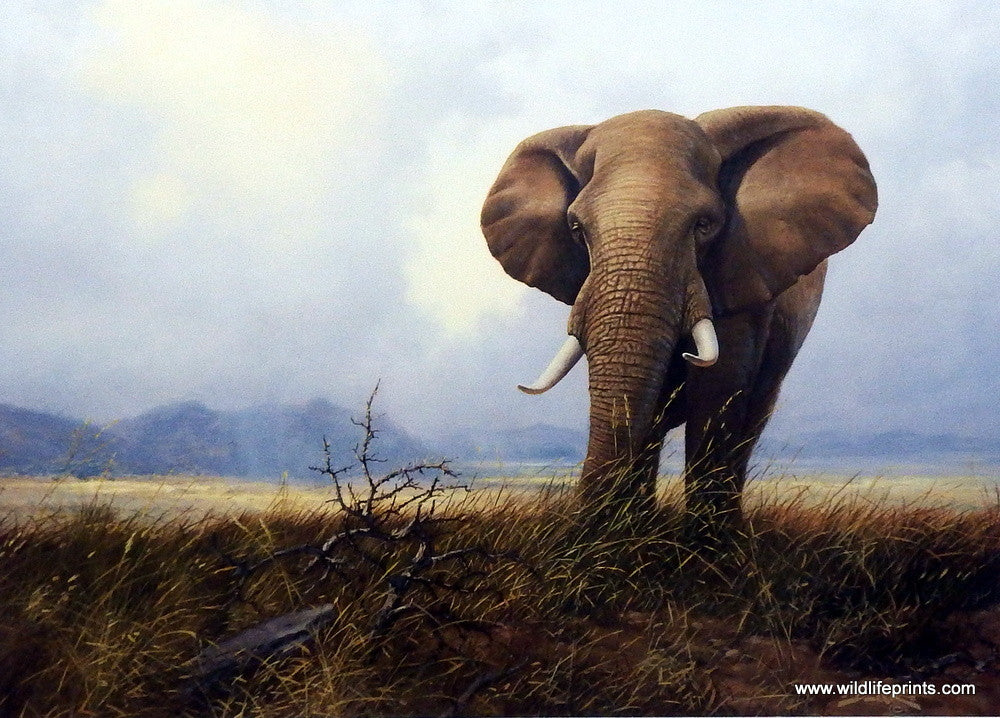 Derk Hansen Last Of The Gentle Giants