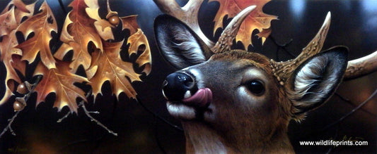 Jerry Gadamus Lickin' Stick