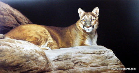 Edward Aldrich Lions Lair
