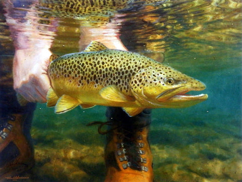 Mark Susinno Live To Fight Another Day- Brown Trout