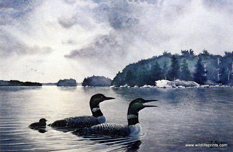 Les Kouba Loon Family Patrol