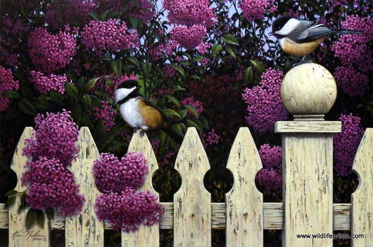 Kim Norlien Love song