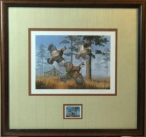 David Maass 1982 Quail Research S/N Print with Stamp-Framed