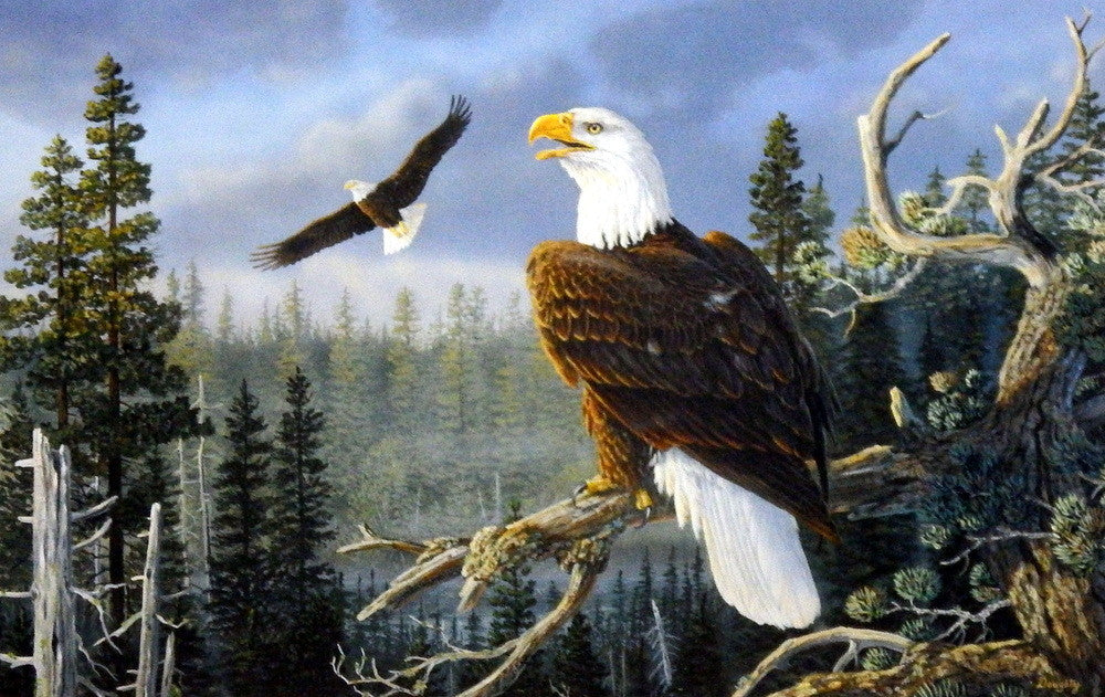 Terry Doughty Majestic Pair