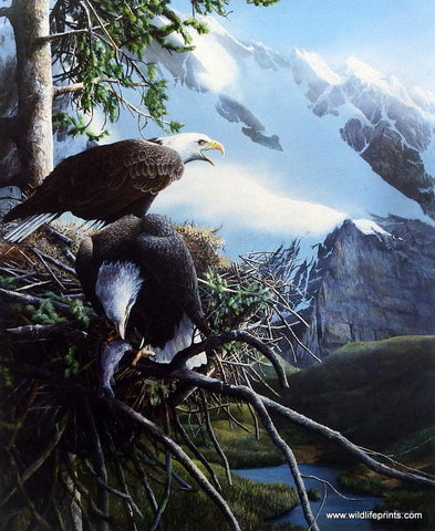 Kevin Daniel Majestic View